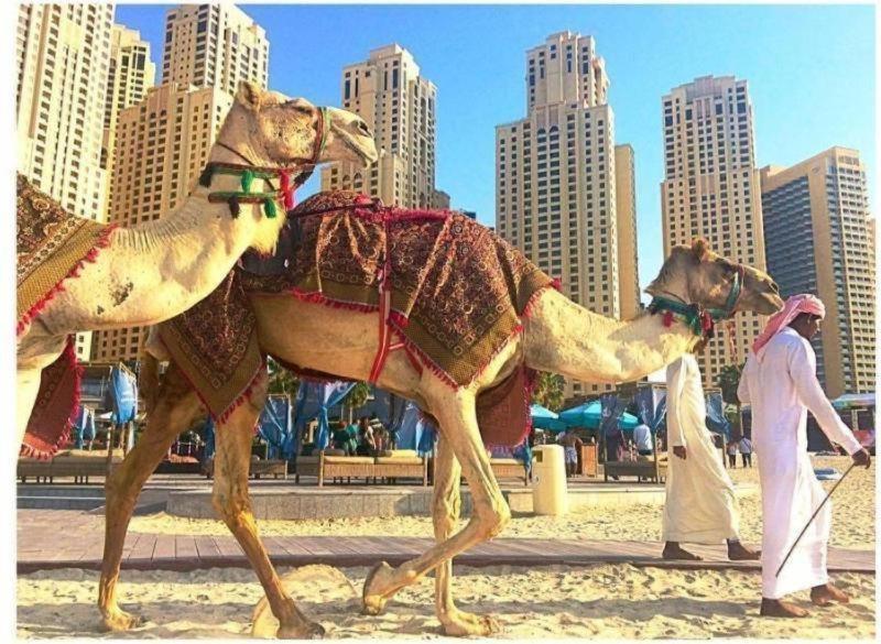 Luxury Apartments In Dubai Marina Esterno foto